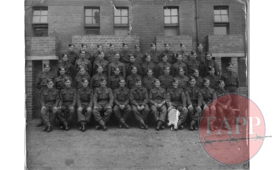 3 Platoon