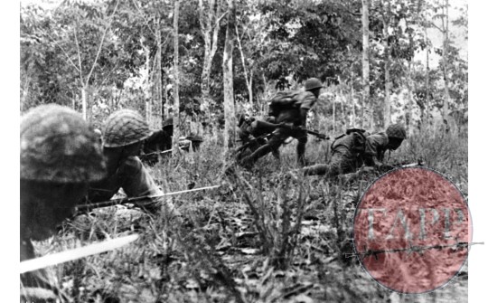 Japanese troops advancing through a plantation