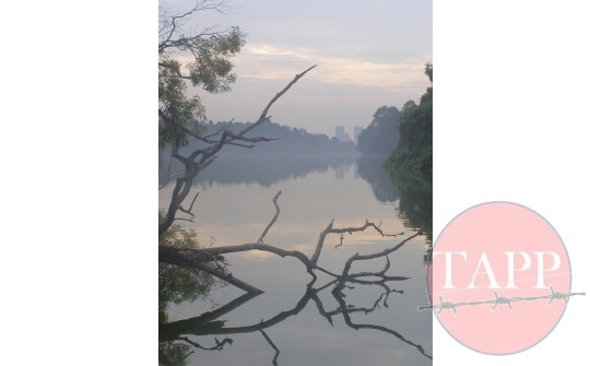 Still waters