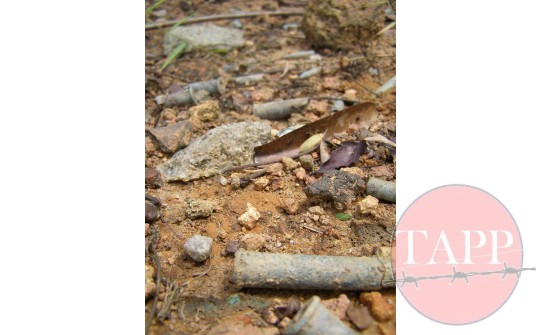 Ammunition found on the survface