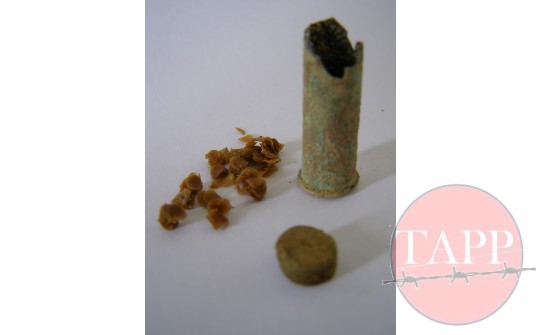 .303 round with Riflelite