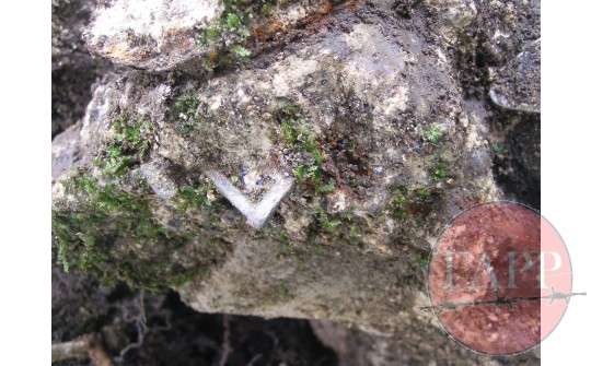 Webbing Buckle embedded in concrete at No.17