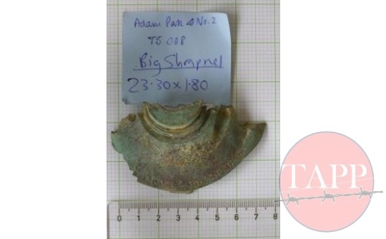 Shell Fragment