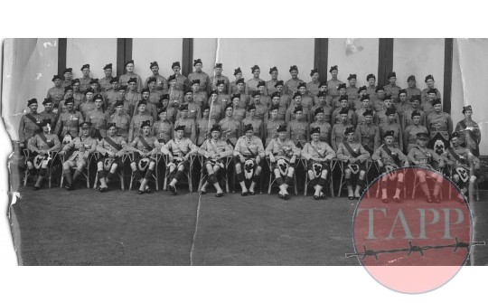The Scottish Coy 