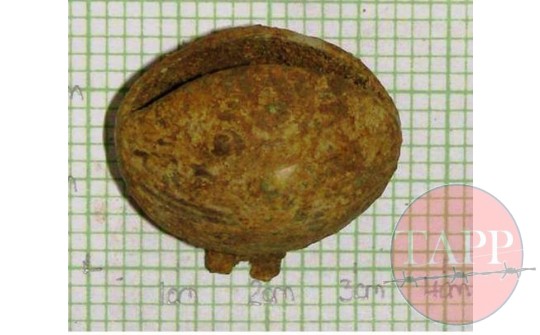 The Frog Bell