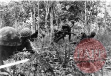 Japanese troops advancing through a plantation