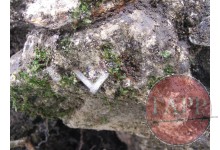 Webbing Buckle embedded in concrete at No.17