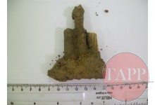 Charger and Rounds found at No.20 Adam Park