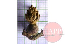 The Royal Engineers Badge