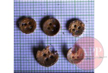 A collection of buttons