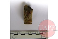 20mm Cartridge