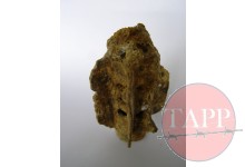2" Mortar Fin p.199