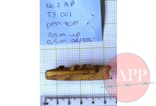 Blackbird Pen Top