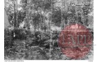 AWM - Japanese troops reputedly in the Bukit Timah