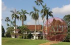 The Green House at Sime Road