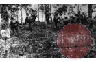 Troops advancing  through a plantation
