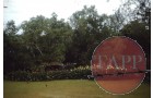 Front lawn and tennis court 16 Adam Park