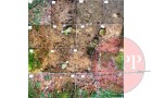 Composite showing the distribution of artifacts across the dump site