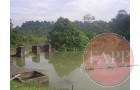 The Pipeline running between Pierce and MacRitchie comes out at the pumping house at the Golf Course