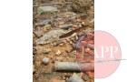 Ammunition found on the survface