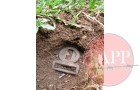 Item was found just a few centimetres below the service at 18 Adam Park next to a GS cap badge