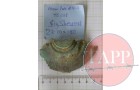 Shell Fragment