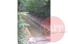 The canals are easily spotted in the the forest