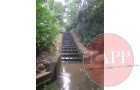 Water flows from Pierce to MacRitchie via a series of pipes and canals.