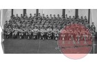 The Scottish Coy 