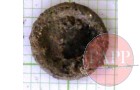 Close up of unknown regimental badge