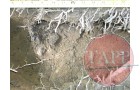 First look at the contents still difficult to determine what was in the hole