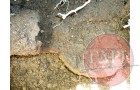 Tin cans, water bottles and a wheel revealed