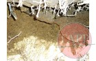 Excavated hole showing wheel