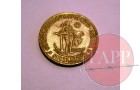 The South African Shilling