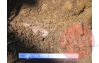 the hole is extended and a layer of artifacts is revealed