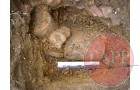 After careful excavation gas mask containers and bayonet scabbard parts are revealed