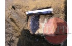 One of the filter canisters found in the test pit. the rubber tubing was still intact but very fragile