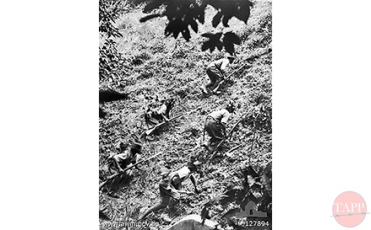 Portfolio of images of Japanese troops in Malaya and Singapore p