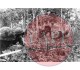 Portfolio of images of Japanese troops in Malaya and Singapore p.70 77