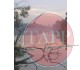 A Collection of Images of MacRitchie Reservoir Nature Reserve P83