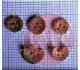 A collection of buttons