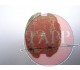 Japanese ID Tag