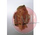 2" Mortar Fin p.199
