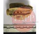 Mortar Fin p.199