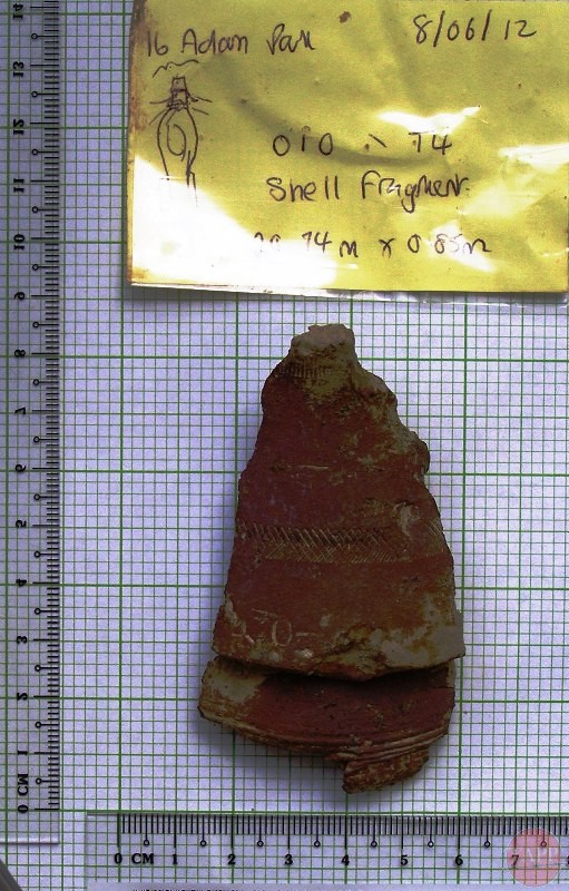 Shell Fragment p.152 - Artifacts | Adam Park | Virtual Museum